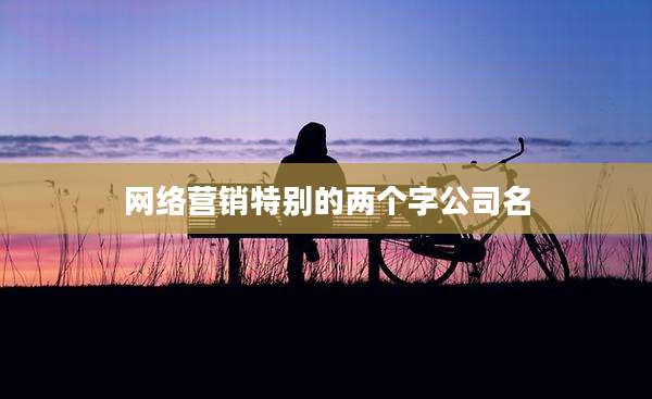 网络营销特别的两个字公司名