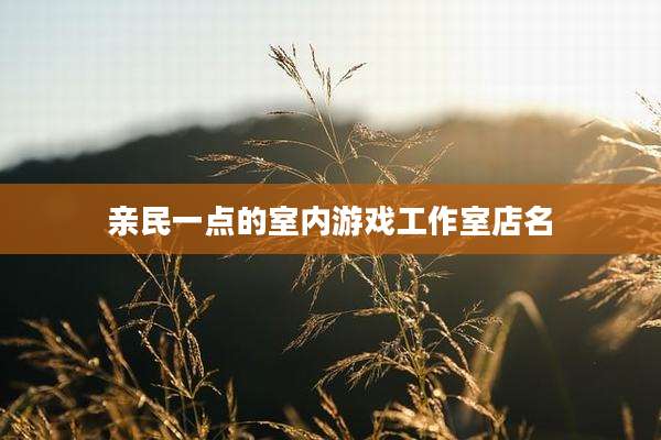 亲民一点的室内游戏工作室店名