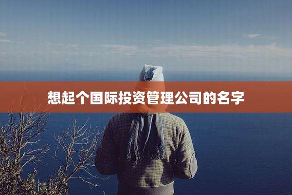 想起个国际投资管理公司的名字