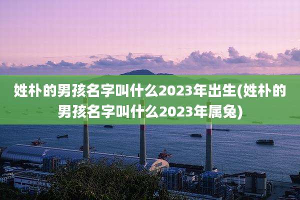 姓朴的男孩名字叫什么2023年出生(姓朴的男孩名字叫什么2023年属兔)