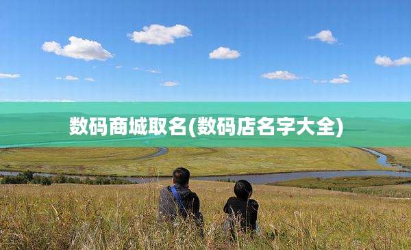 数码商城取名(数码店名字大全)