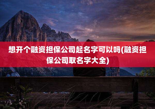 想开个融资担保公司起名字可以吗(融资担保公司取名字大全)