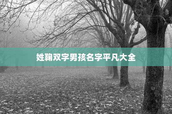 姓鞠双字男孩名字平凡大全