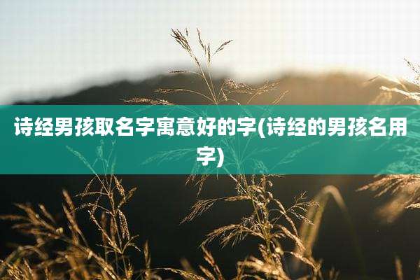 诗经男孩取名字寓意好的字(诗经的男孩名用字)