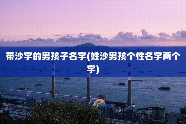 带沙字的男孩子名字(姓沙男孩个性名字两个字)
