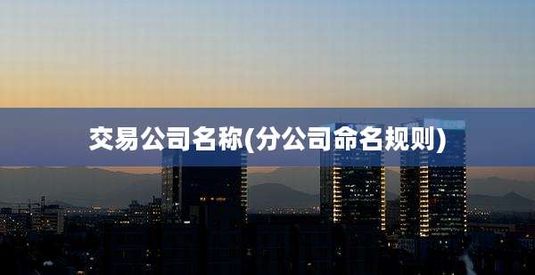 交易公司名称(分公司命名规则)