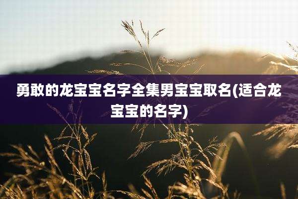 勇敢的龙宝宝名字全集男宝宝取名(适合龙宝宝的名字)