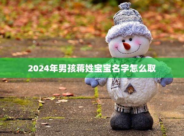 2024年男孩蒋姓宝宝名字怎么取