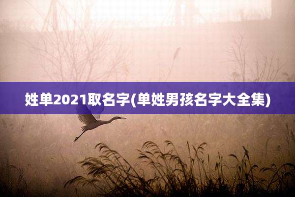 姓单2021取名字(单姓男孩名字大全集)