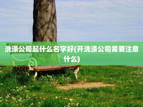 洗涤公司起什么名字好(开洗涤公司需要注意什么)