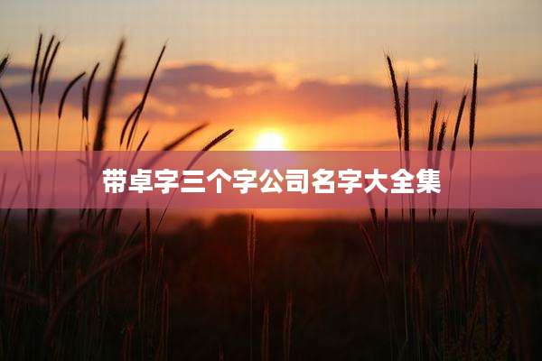 带卓字三个字公司名字大全集
