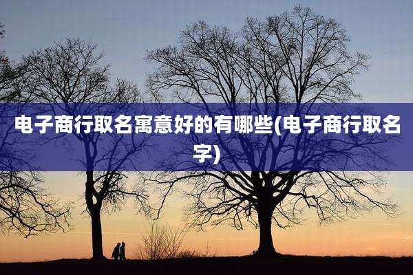 电子商行取名寓意好的有哪些(电子商行取名字)