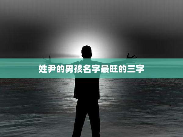 姓尹的男孩名字最旺的三字