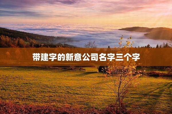 带建字的新意公司名字三个字