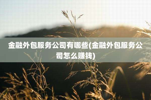 金融外包服务公司有哪些(金融外包服务公司怎么赚钱)