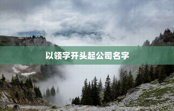 以领字开头起公司名字
