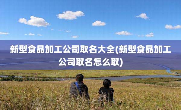 新型食品加工公司取名大全(新型食品加工公司取名怎么取)