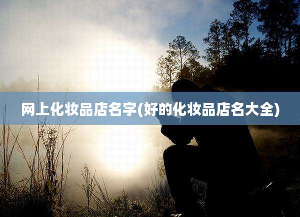 网上化妆品店名字(好的化妆品店名大全)