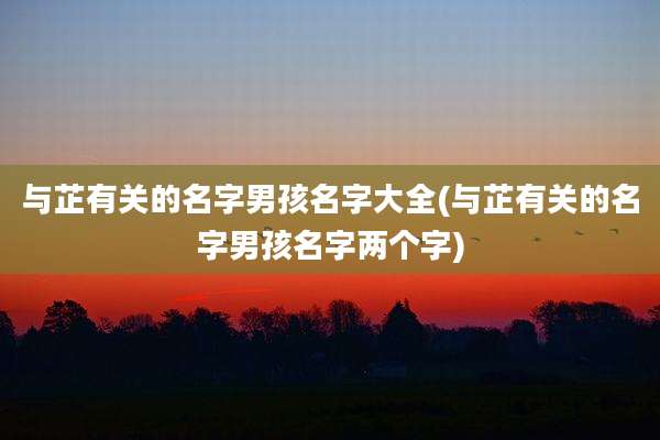 与芷有关的名字男孩名字大全(与芷有关的名字男孩名字两个字)