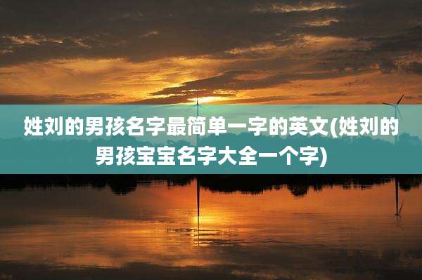 姓刘的男孩名字最简单一字的英文(姓刘的男孩宝宝名字大全一个字)