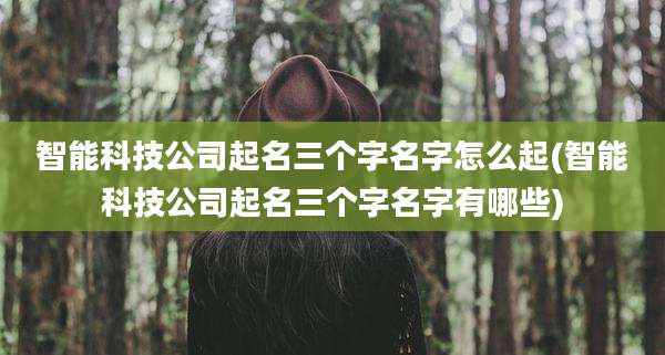 智能科技公司起名三个字名字怎么起(智能科技公司起名三个字名字有哪些)