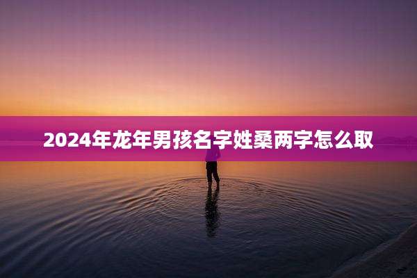 2024年龙年男孩名字姓桑两字怎么取