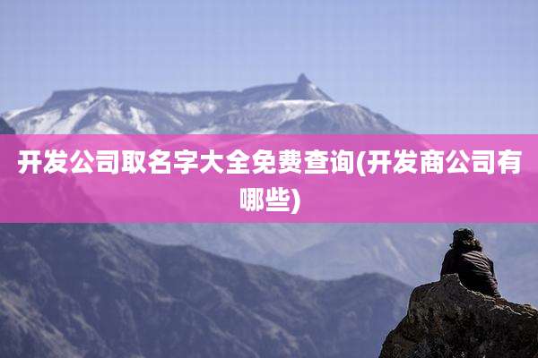 开发公司取名字大全免费查询(开发商公司有哪些)