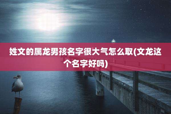 姓文的属龙男孩名字很大气怎么取(文龙这个名字好吗)