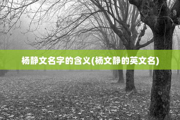 杨静文名字的含义(杨文静的英文名)