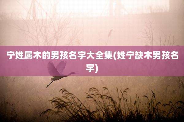 宁姓属木的男孩名字大全集(姓宁缺木男孩名字)