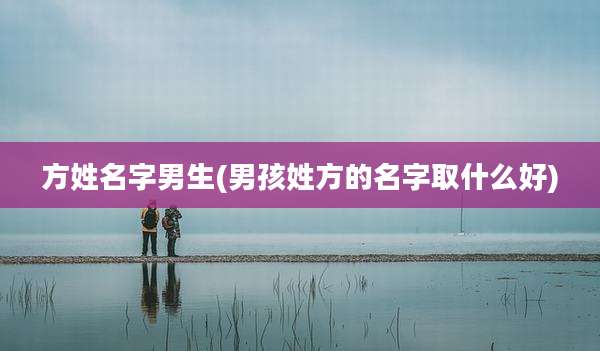方姓名字男生(男孩姓方的名字取什么好)