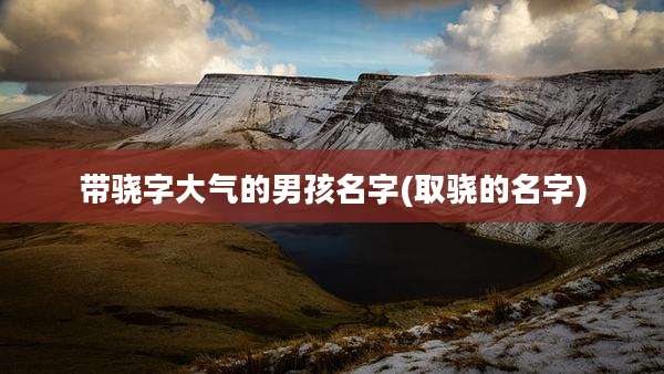 带骁字大气的男孩名字(取骁的名字)