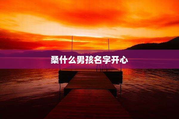桑什么男孩名字开心