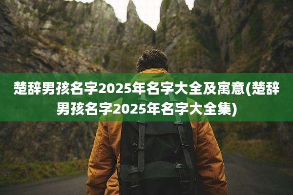 楚辞男孩名字2025年名字大全及寓意(楚辞男孩名字2025年名字大全集)