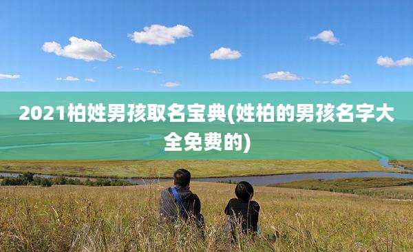 2021柏姓男孩取名宝典(姓柏的男孩名字大全免费的)