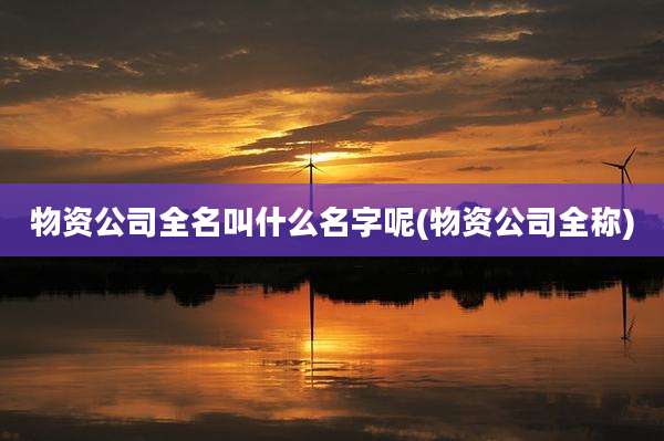 物资公司全名叫什么名字呢(物资公司全称)