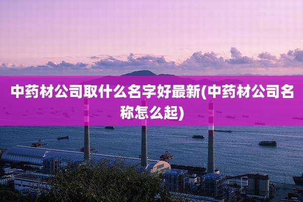 中药材公司取什么名字好最新(中药材公司名称怎么起)
