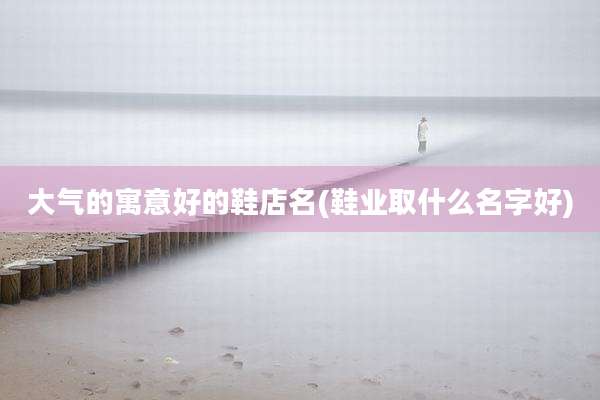 大气的寓意好的鞋店名(鞋业取什么名字好)