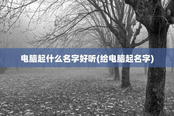 电脑起什么名字好听(给电脑起名字)