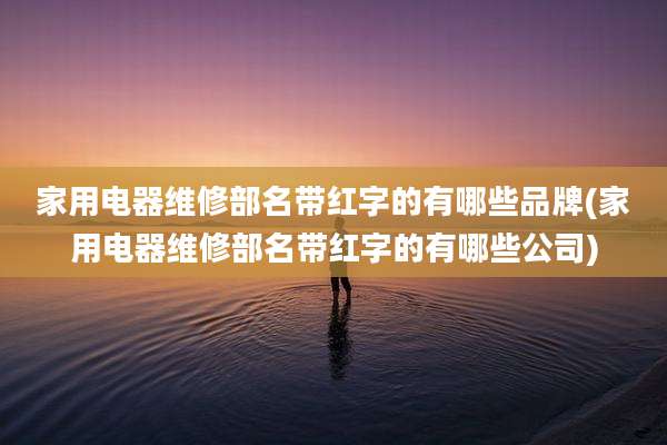 家用电器维修部名带红字的有哪些品牌(家用电器维修部名带红字的有哪些公司)