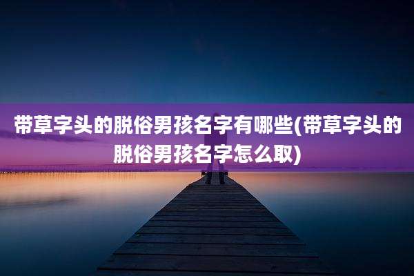 带草字头的脱俗男孩名字有哪些(带草字头的脱俗男孩名字怎么取)