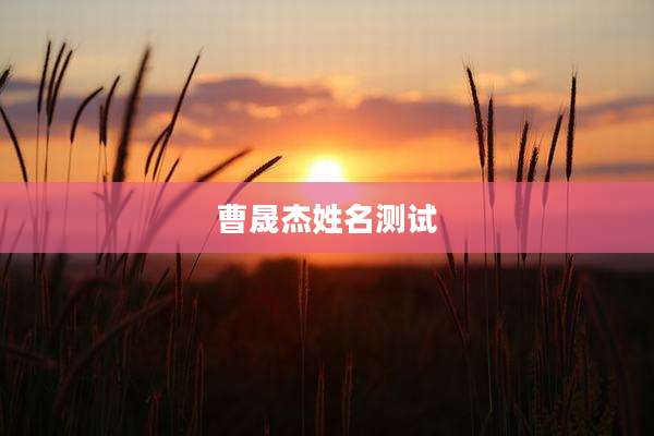 曹晟杰姓名测试