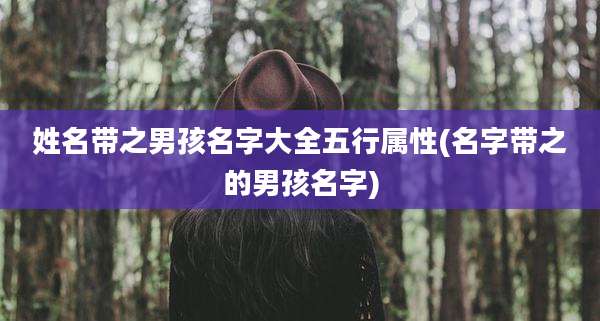 姓名带之男孩名字大全五行属性(名字带之的男孩名字)