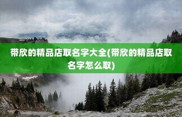 带欣的精品店取名字大全(带欣的精品店取名字怎么取)