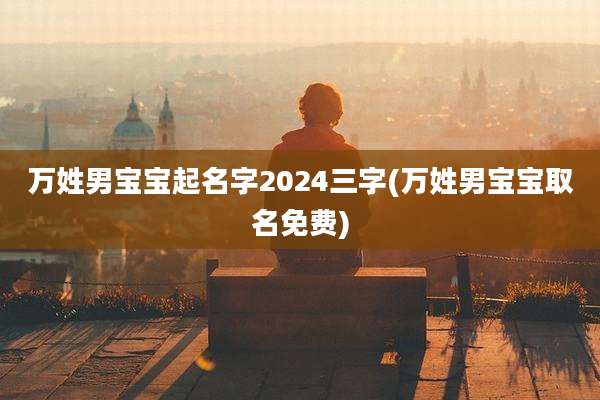 万姓男宝宝起名字2024三字(万姓男宝宝取名免费)