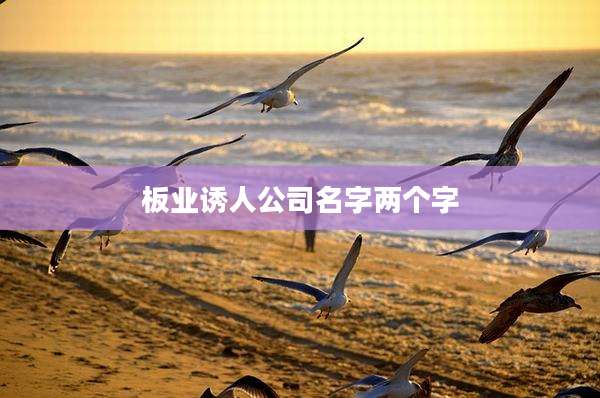 板业诱人公司名字两个字