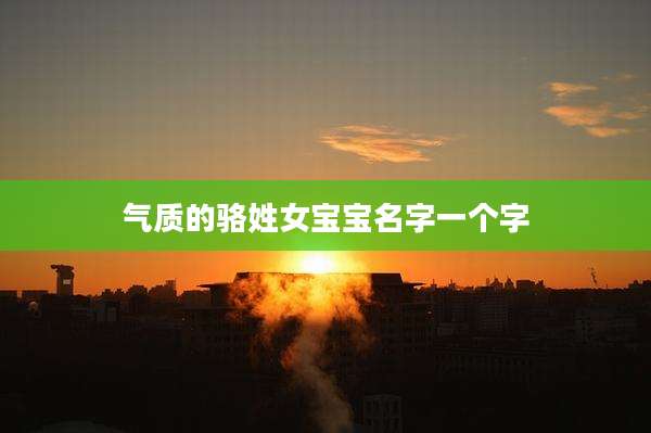 气质的骆姓女宝宝名字一个字