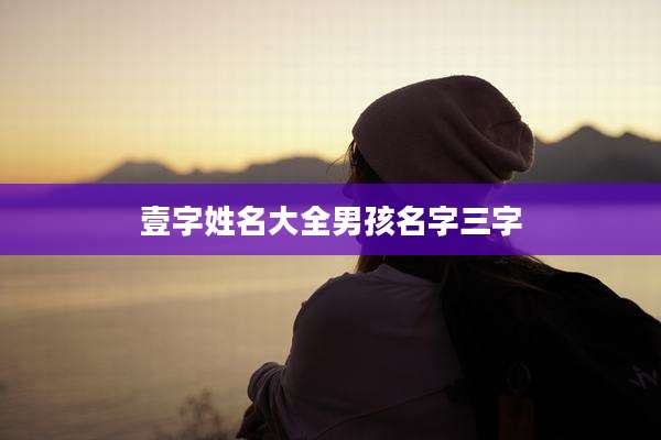 壹字姓名大全男孩名字三字