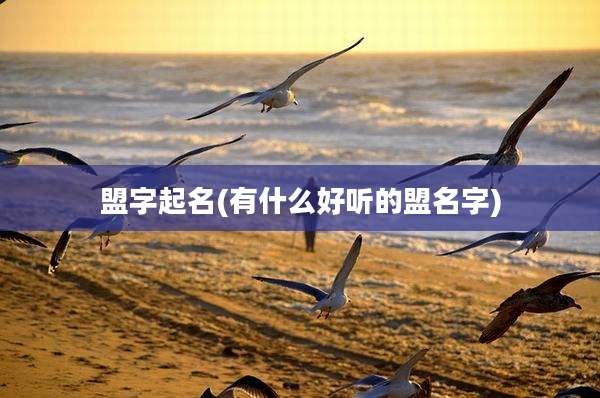 盟字起名(有什么好听的盟名字)