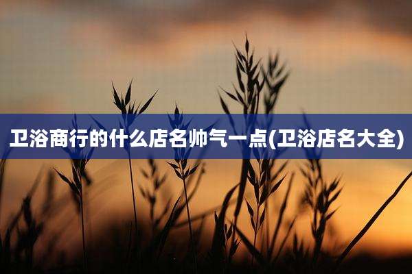 卫浴商行的什么店名帅气一点(卫浴店名大全)